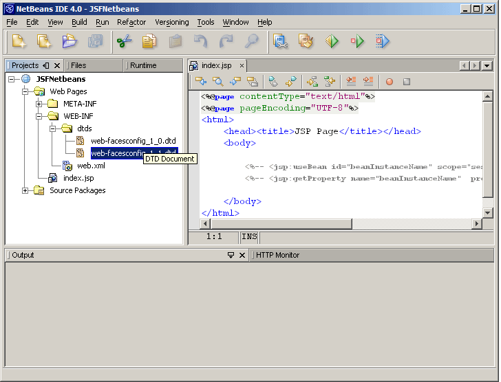 Copying the DTD into the dtds folder